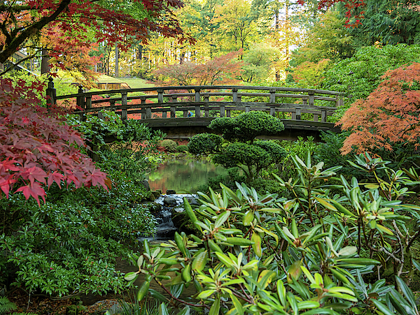 Moon Bridge by Jean Noren Moon Bridge by Jean Noren